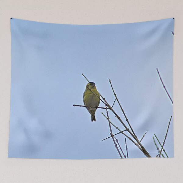 Item preview, Little Yellow Bird Tree Bare Branches designed and sold by Anna Lemos.