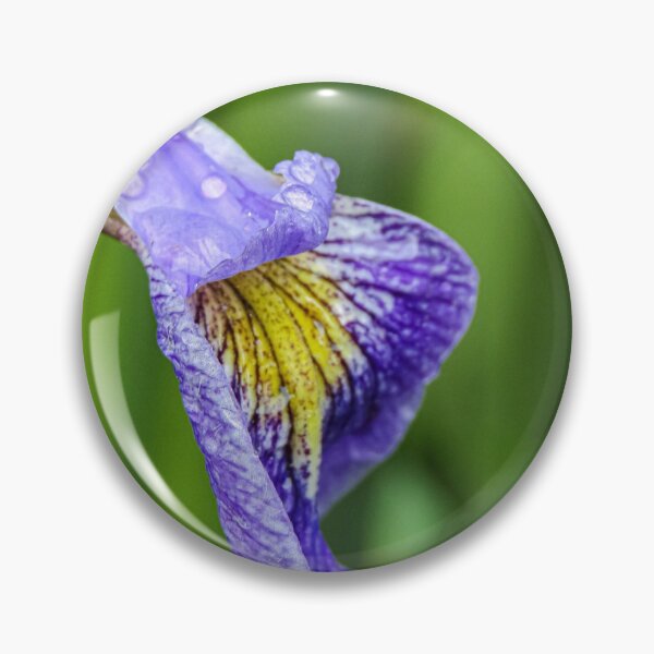 Item preview, Iris flowerhead against a green background  designed and sold by Joanne Wall.