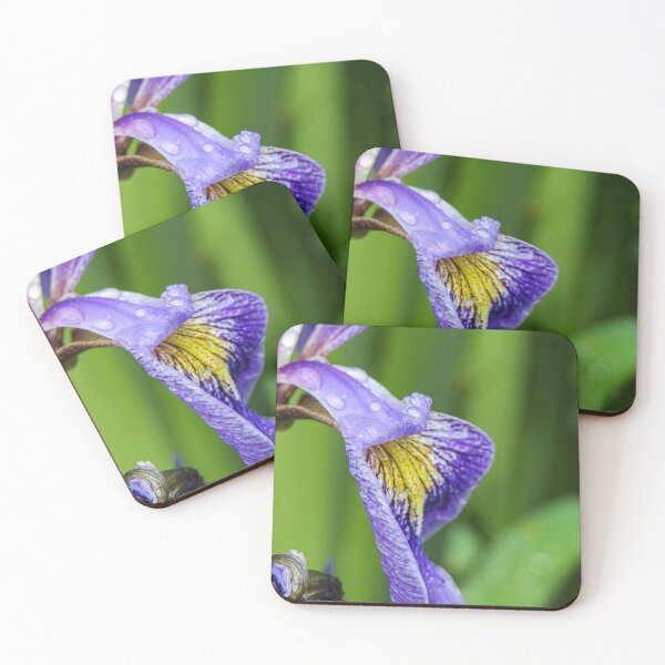 Item preview, Iris flowerhead against a green background  designed and sold by Joanne Wall.
