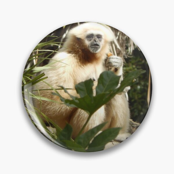 Item preview, White Handed Gibbon 001 designed and sold by pasta26mc.