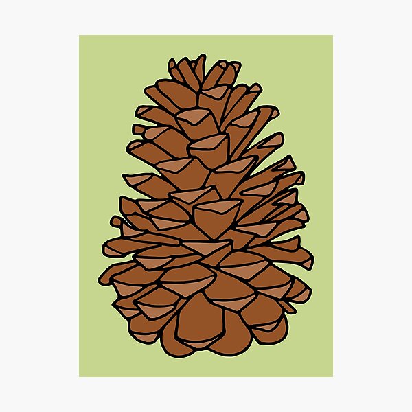 Item preview, Pinecone designed and sold by murialbezanson.