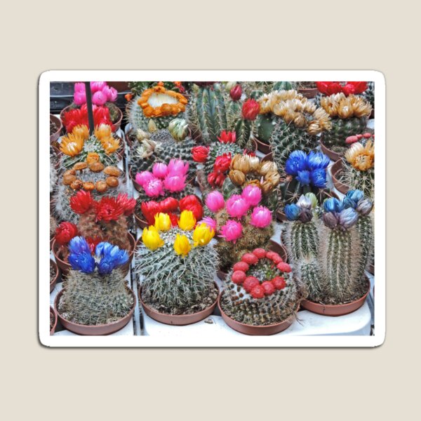 Item preview, Prickly beauties designed and sold by Margaret  Hyde.