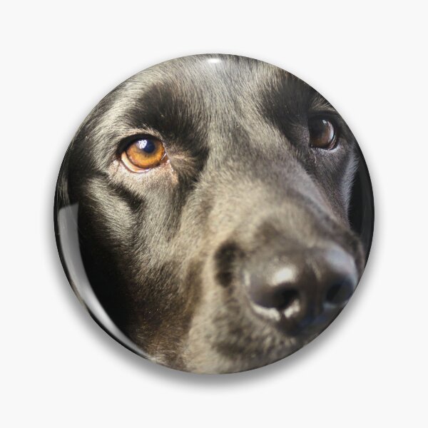 Item preview, Doggo designed and sold by JEZ22.