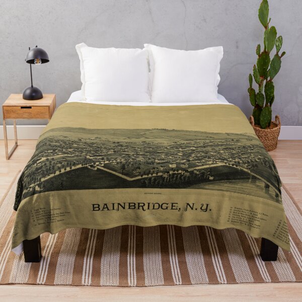 Item preview, Bainbridge, New York (1889) designed and sold by allhistory.