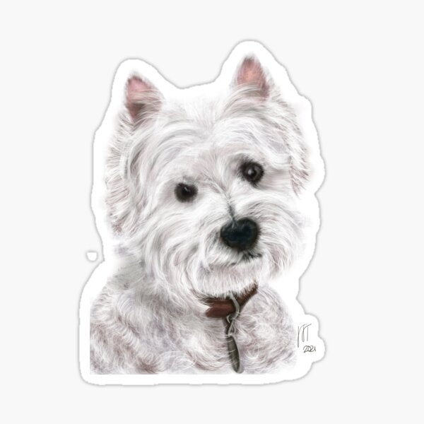 Sweet West Highland White Terrier Sticker