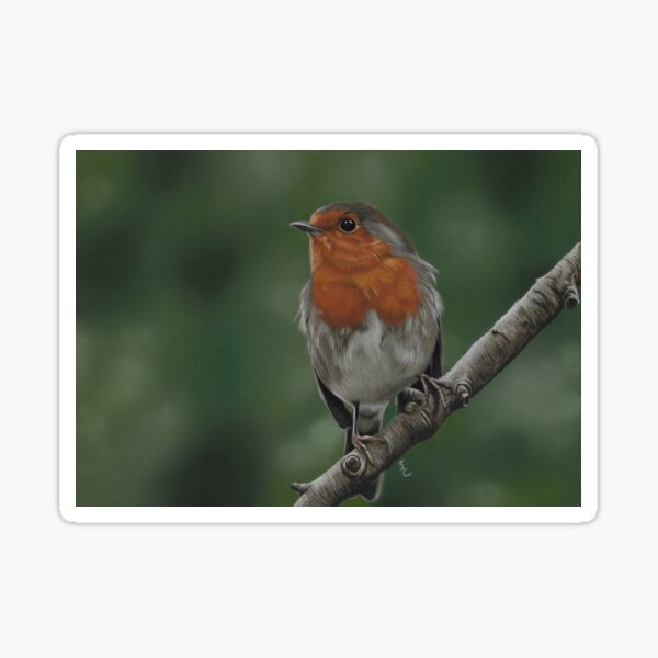Little Robin Redbreast Sticker