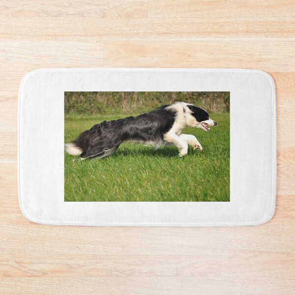 Item preview, The speed of a working dog! designed and sold by Christine Hosey.