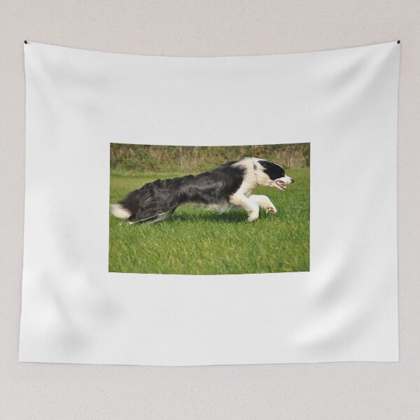 Item preview, The speed of a working dog! designed and sold by Christine Hosey.