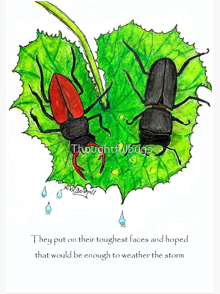Beatles weather the storm by Thoughtfulbugs