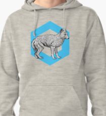 Fox Shine Pullover Hoodie