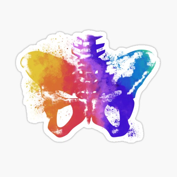 Pelvic Splash in Colour Sticker