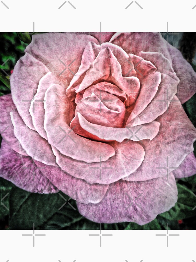Thumbnail 7 of 7, Classic T-Shirt, Pink Flower - Cracked Pink Rose Photography - Gift for Grandma designed and sold by OneDayArt.