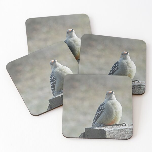 Item preview, Wood Pecker designed and sold by FandomTingsCo.
