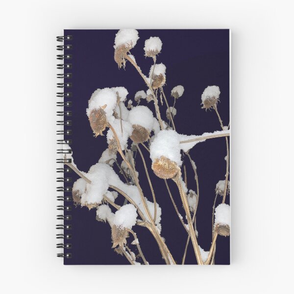 Item preview, Snowcapped dried sunflowers at night designed and sold by Michael Brewer.
