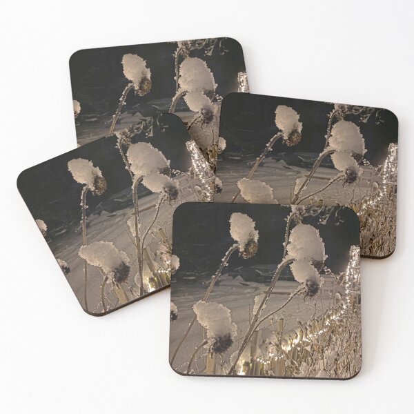 Item preview, Snowcapped dried flowers at night designed and sold by Michael Brewer.