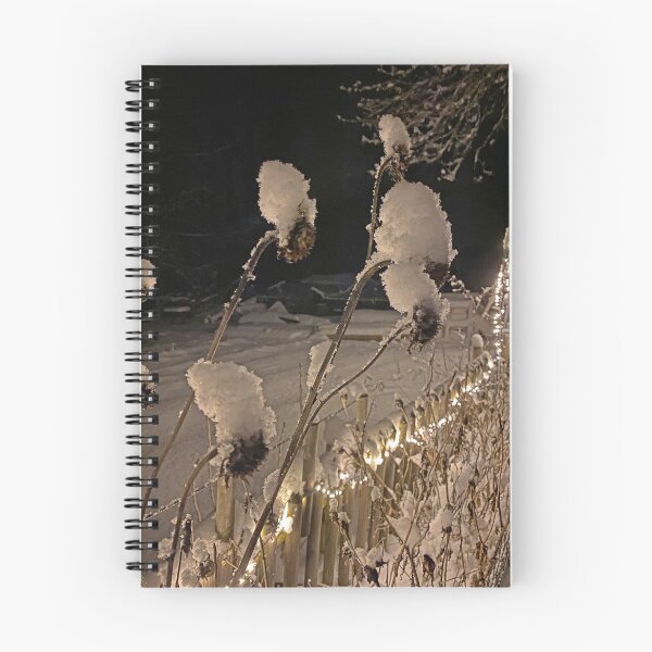 Item preview, Snowcapped dried flowers at night designed and sold by Michael Brewer.