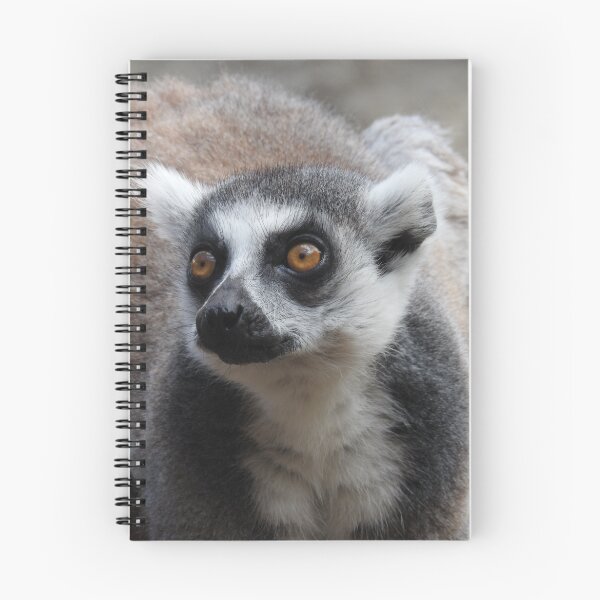 Item preview, Ring Tailed Lemur designed and sold by kirstybush.