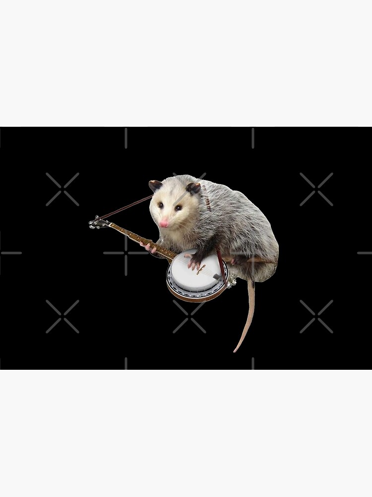 Opossum Playing Banjo by TEE-ST0RY