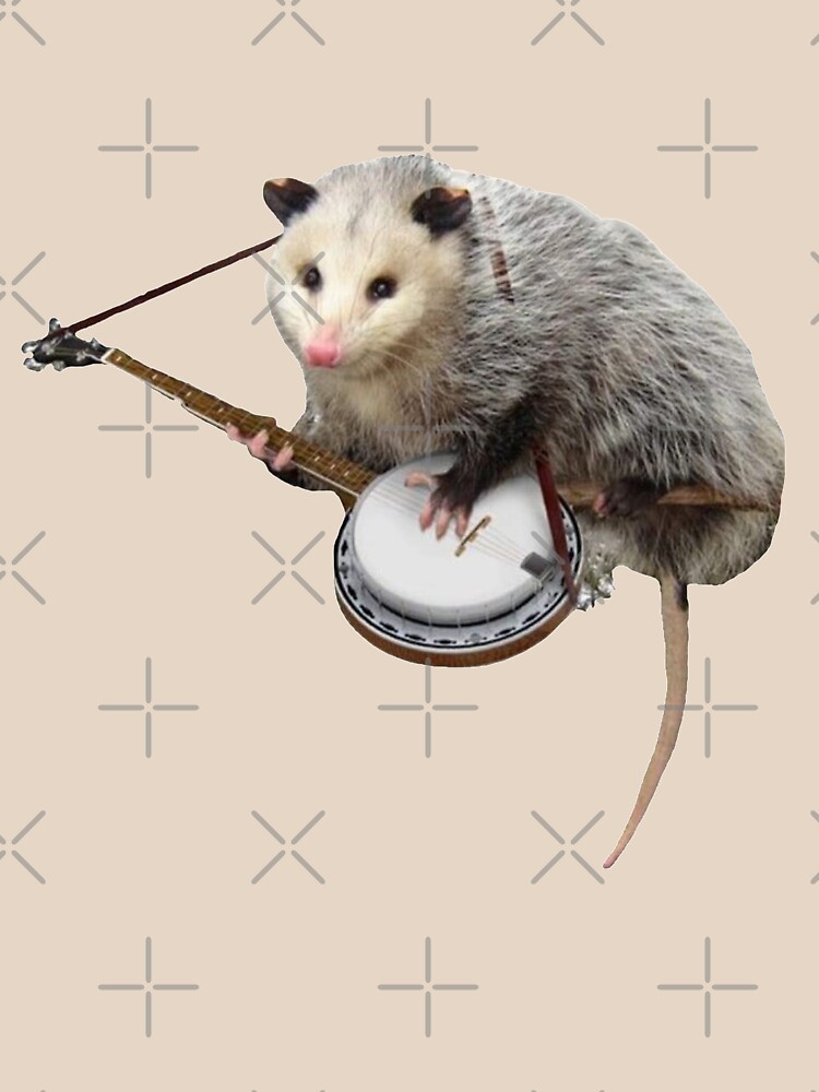 Opossum Playing Banjo by TEE-ST0RY