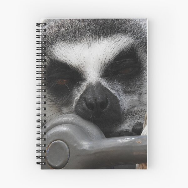 Item preview, Ring Tailed Lemur designed and sold by kirstybush.