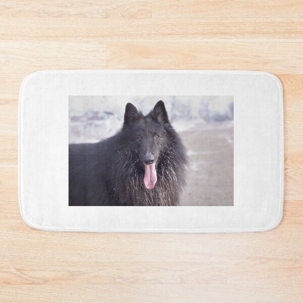 Item preview, Belgian Shepherd Groenendael Close-Up designed and sold by ArtbyDanya.