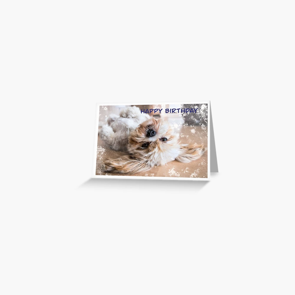 Des Cartes De Design Marron Avec Un Chien Shih Tzu Dans Un Chapeau