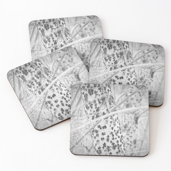 Item preview, Stand Out / photography by Livia Leoveanu designed and sold by Livia  Leoveanu.