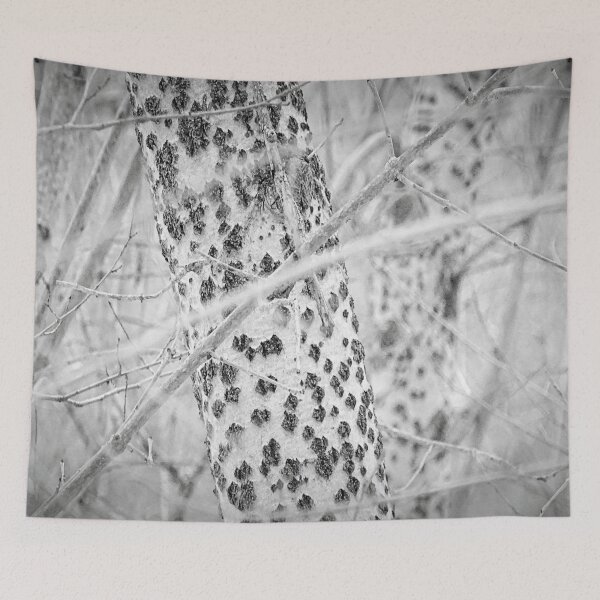 Item preview, Stand Out / photography by Livia Leoveanu designed and sold by Livia  Leoveanu.