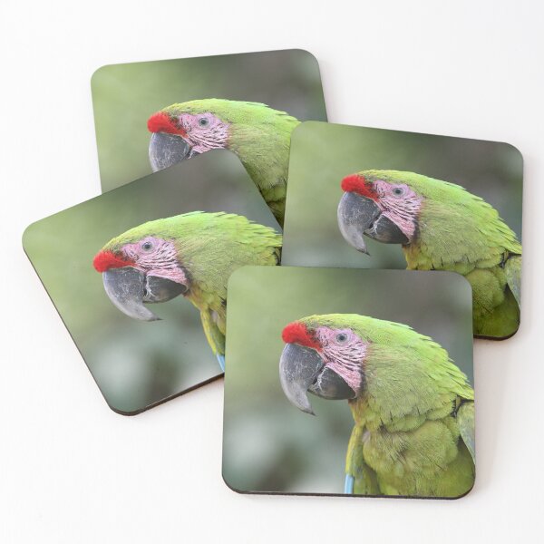 Item preview, Great Green Macaw designed and sold by mlorenz.