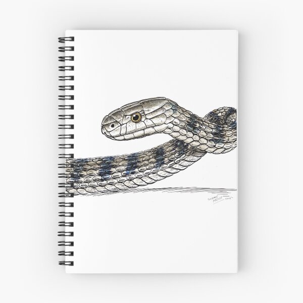 Item preview, Rough Scaled Snake designed and sold by SnakeArtist.