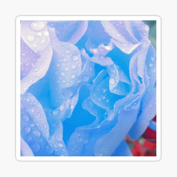 A Collection of Ice Blue Rose Petals Sticker