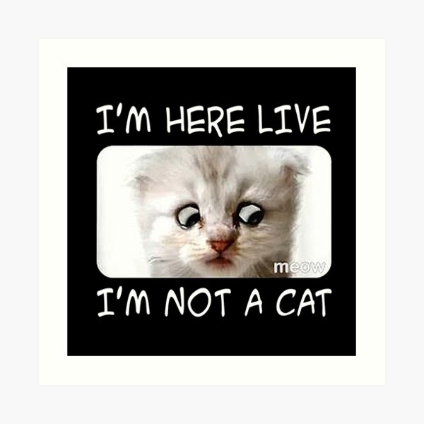 Cat Call Art Prints Redbubble