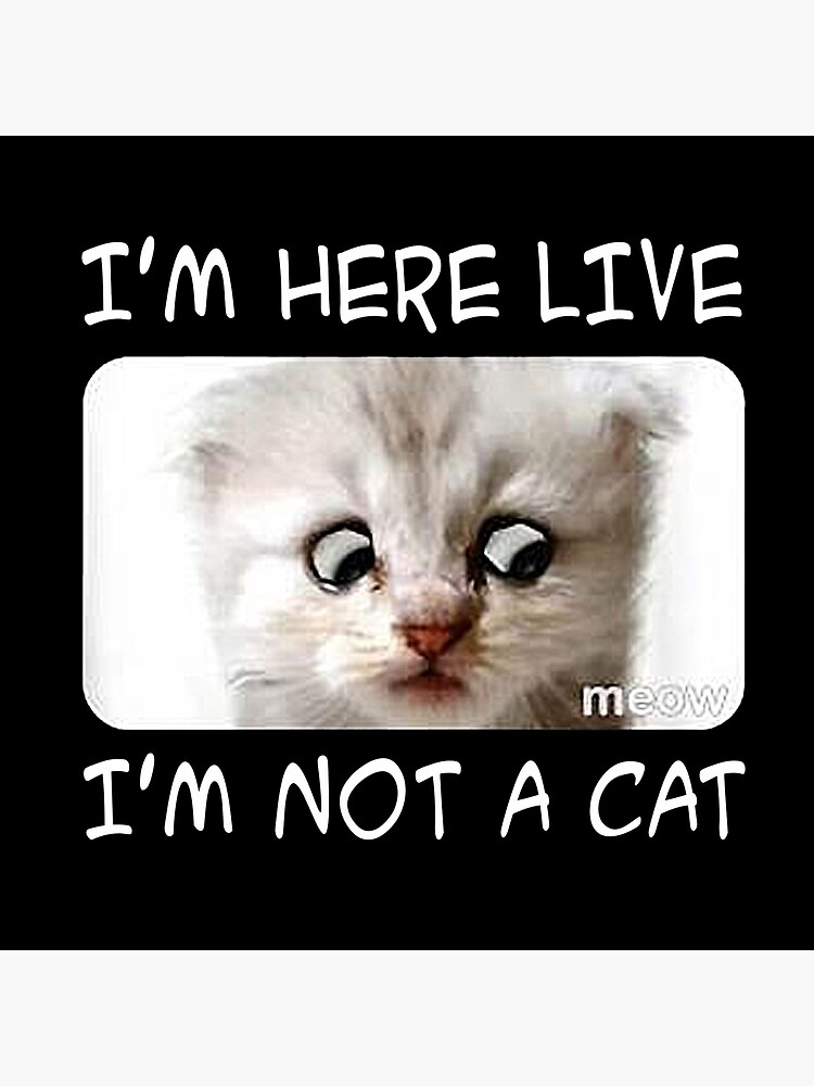 I Am Here Live I Am Not A Cat Funny Lawyer Cat Video Call Meme Greeting Card For Sale By Bugattidivo58 Redbubble