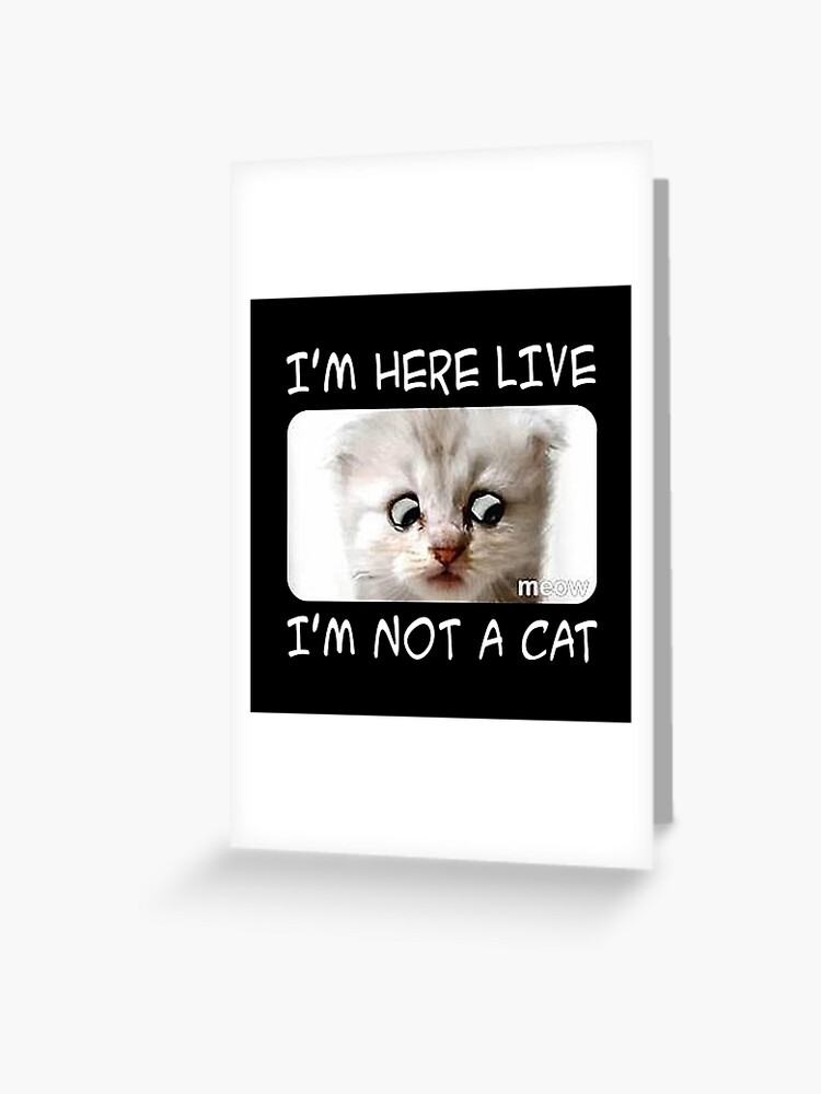 I Am Here Live I Am Not A Cat Funny Lawyer Cat Video Call Meme Greeting Card For Sale By Bugattidivo58 Redbubble