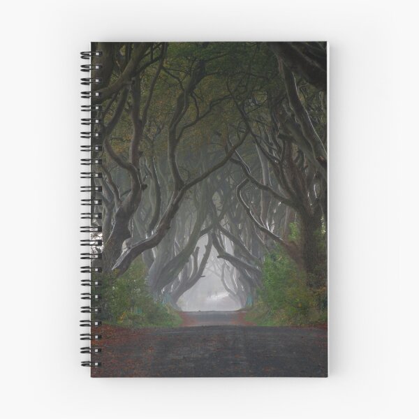 Item preview, Dark Hedges designed and sold by DesDaly.