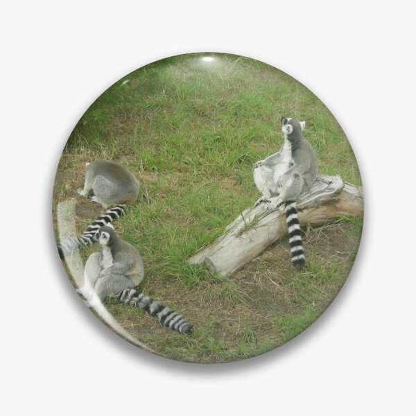 Item preview, Lemurs 003 designed and sold by pasta26mc.