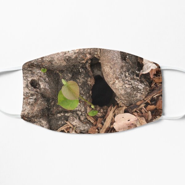 A Fairy's Home Mask