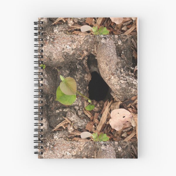 Item preview, A Fairy's Home designed and sold by Elisabeth Dubois.