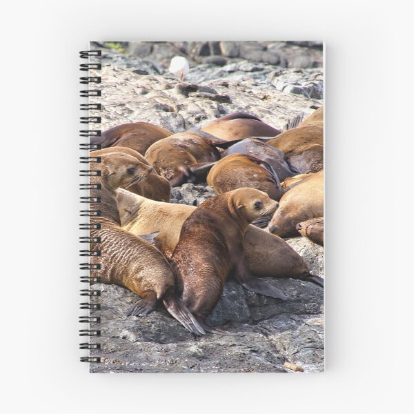 Item preview, Seals - Montague Island - Australia 8 designed and sold by StevenRalserPhoto.