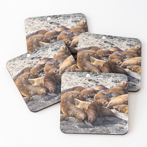 Item preview, Seals - Montague Island - Australia 8 designed and sold by StevenRalserPhoto.