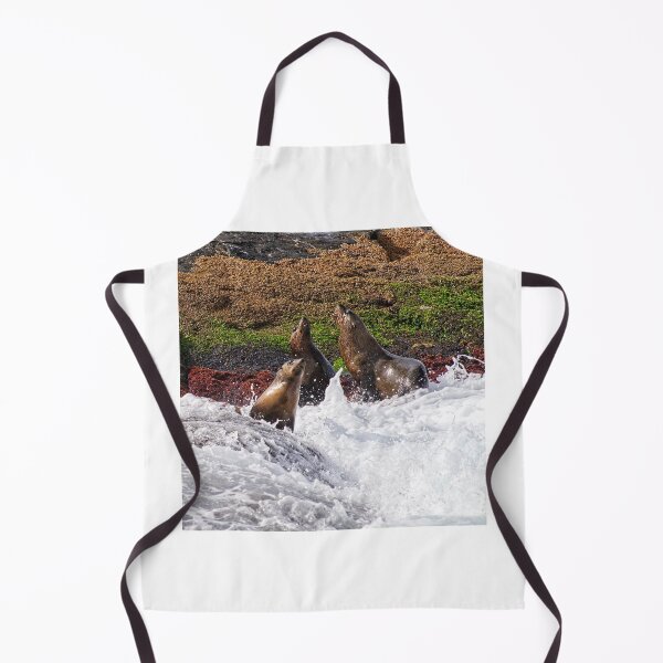 Item preview, Seals - Montague Island - Australia 7 designed and sold by StevenRalserPhoto.