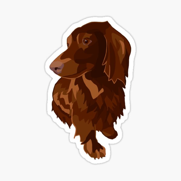 Item preview, Cute Longhaired Dachshund  designed and sold by Gems-Designs.