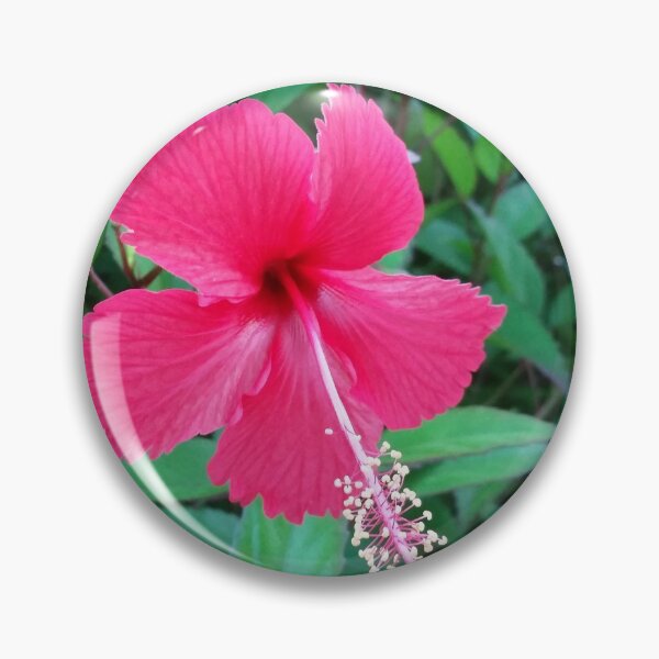 Item preview, Fijian Hibiscus designed and sold by Wild Blue Designs NZ.
