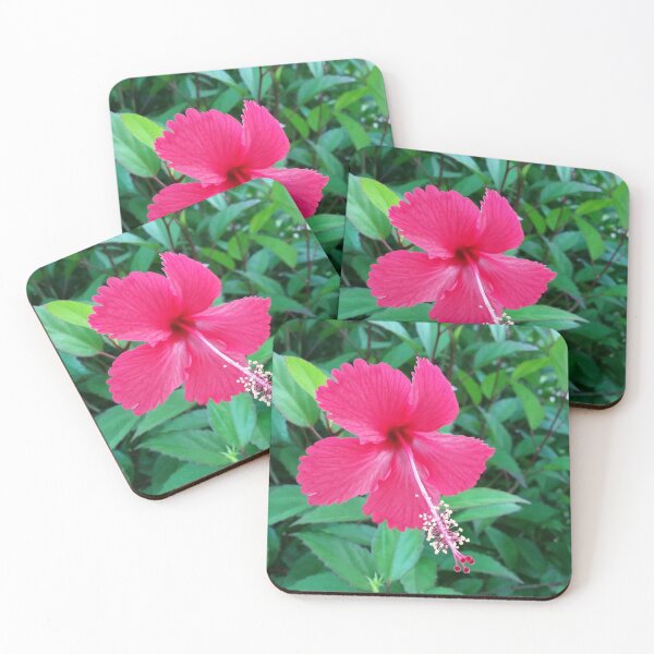 Item preview, Fijian Hibiscus designed and sold by Wild Blue Designs NZ.