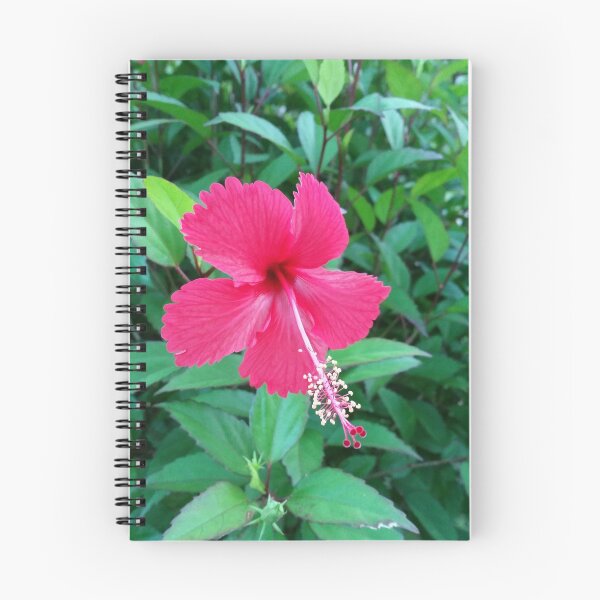 Item preview, Fijian Hibiscus designed and sold by Wild Blue Designs NZ.