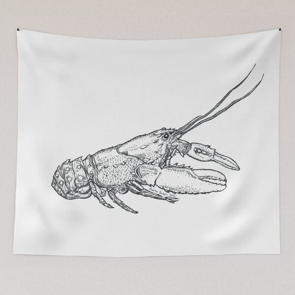 Item preview, Australian Murray Crayfish designed and sold by NutsnGum.