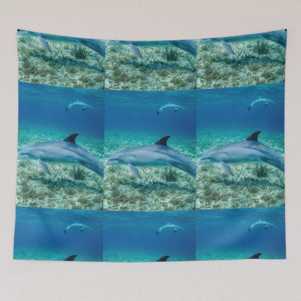 Item preview, Beautiful Dolphins designed and sold by Jodes16.