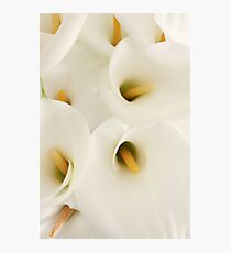 EIGHT Photographic Print