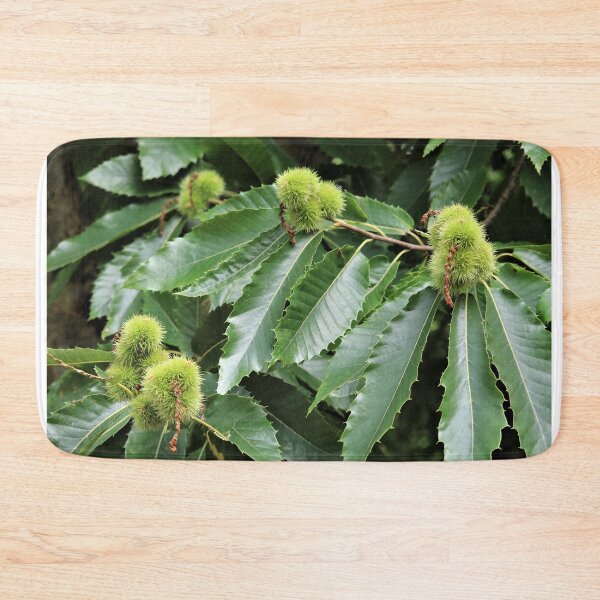 Item preview, Sweet Chestnut Green designed and sold by Michaela Perryman.