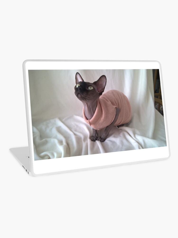 Skin Adhesive D Ordinateur Chat Sphynx Noir Avec Des Yeux Jaunes Par Royalsphynxcat Redbubble